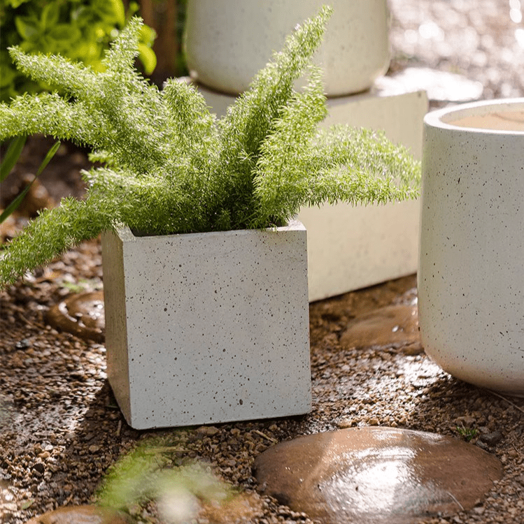 Modern Square White Planter