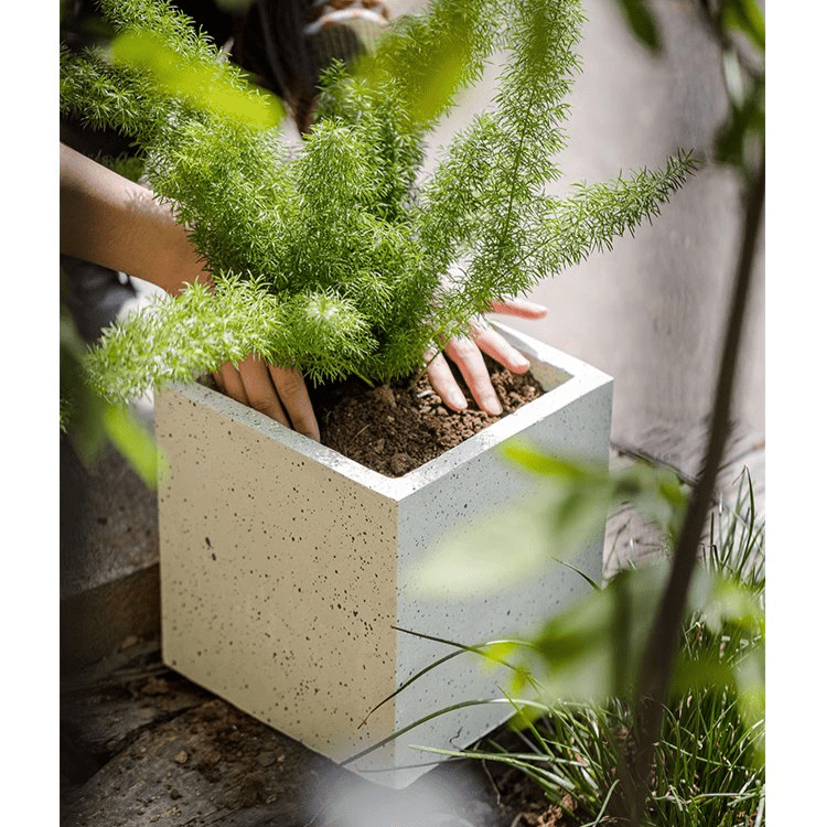 Modern Square White Planter