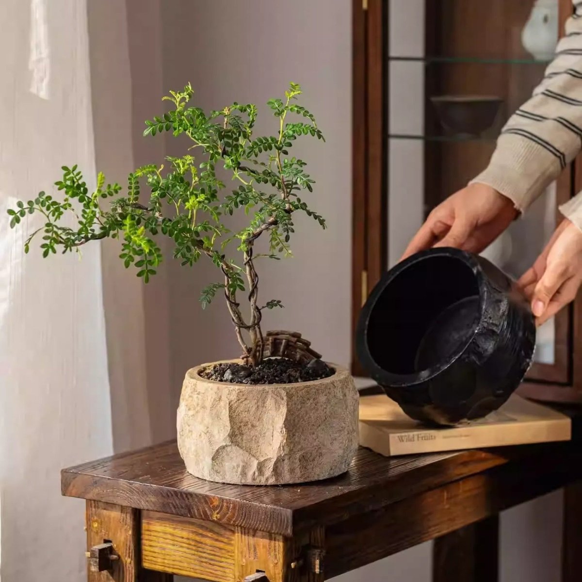 Mesa Cement Planter