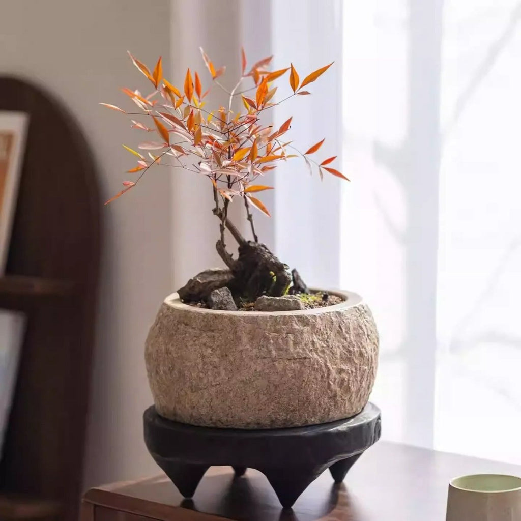 Mesa Cement Planter