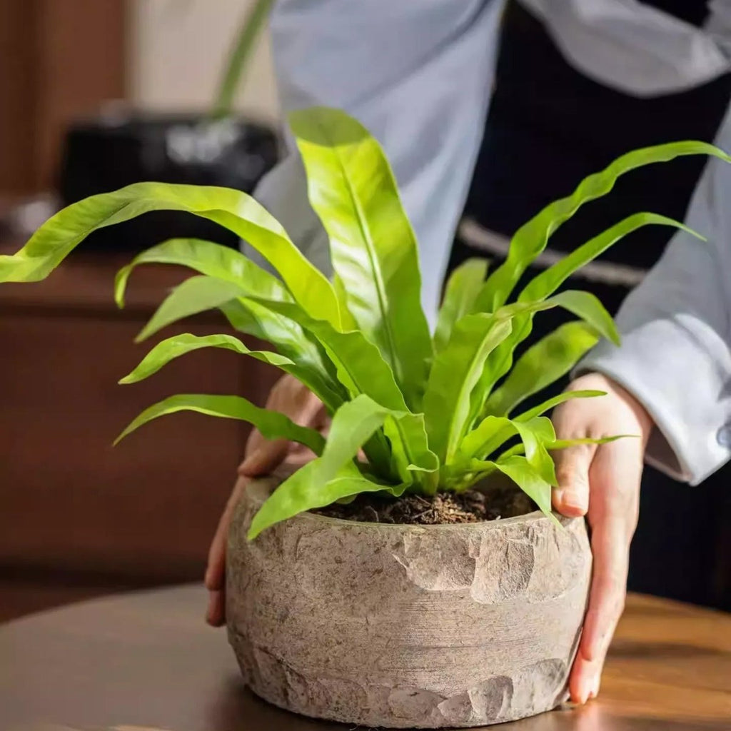 Mesa Cement Planter