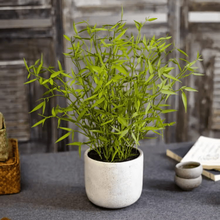 Artificial Mini Bamboo Leaf Potted Plant
