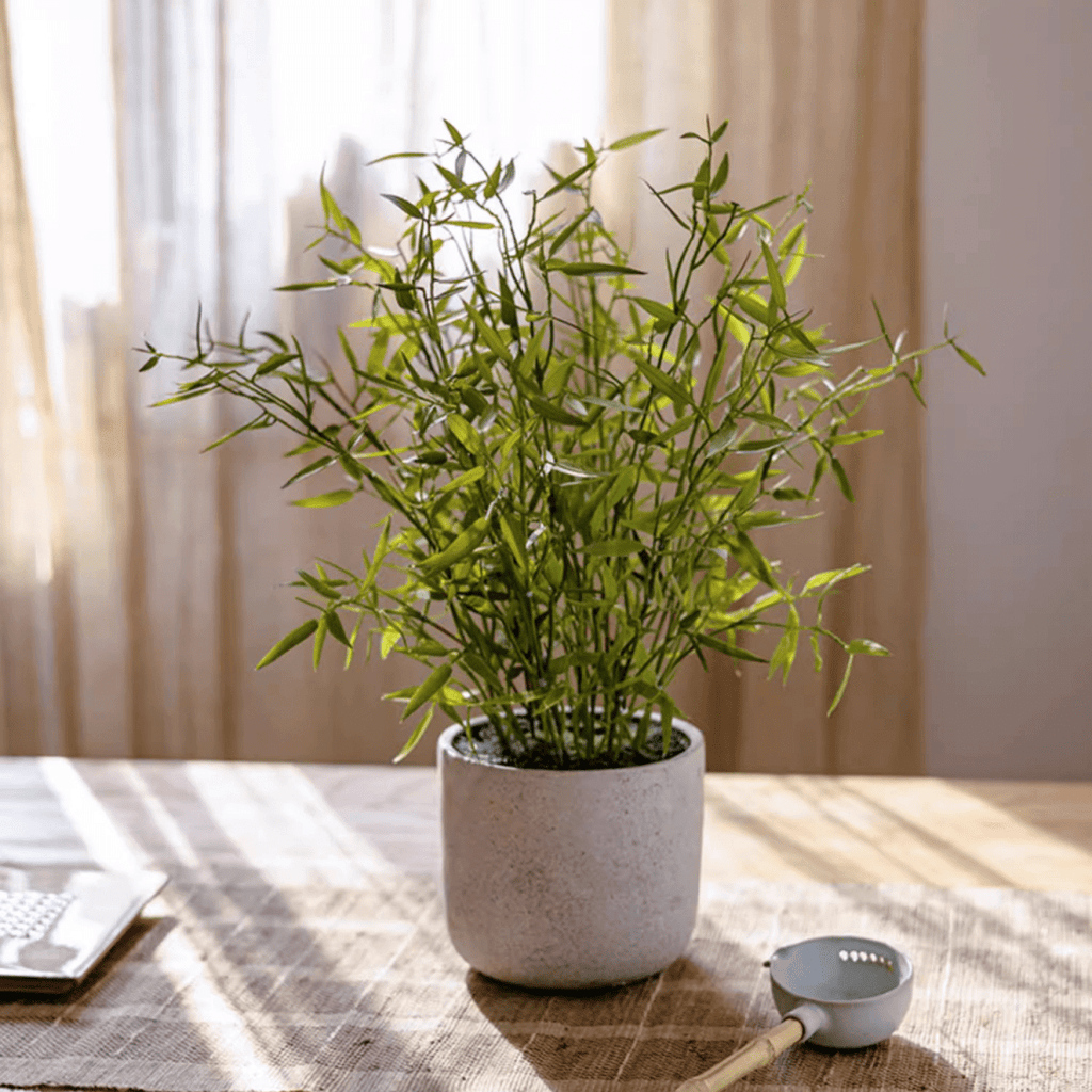 Artificial Mini Bamboo Leaf Potted Plant