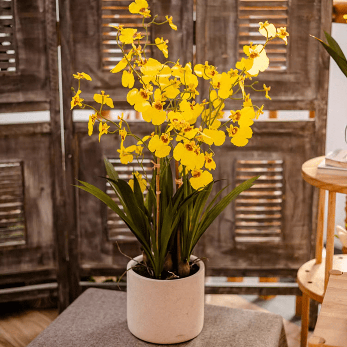 Artificial Potted Dancing Lady Orchid