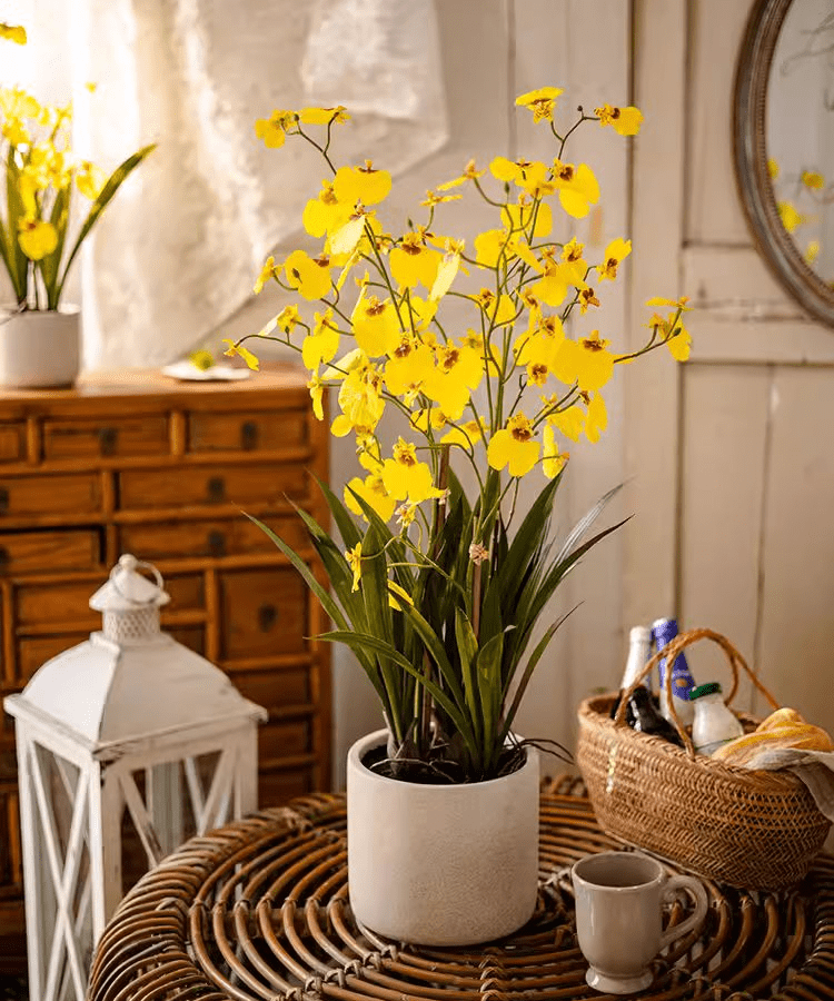 Artificial Potted Dancing Lady Orchid