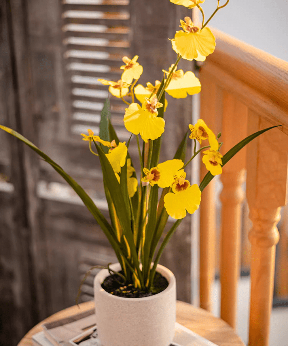 Artificial Potted Dancing Lady Orchid