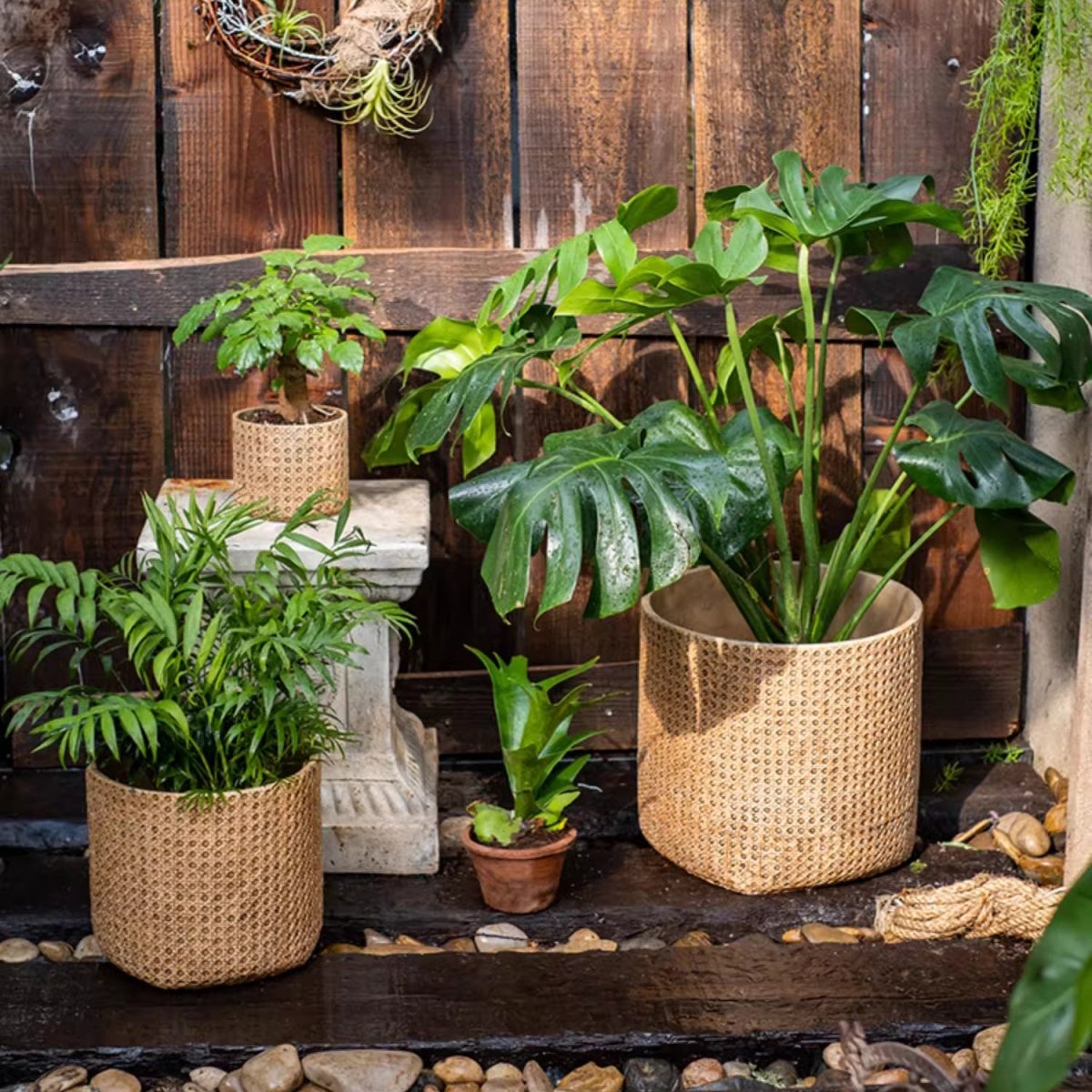 Rattan-Texture Cement Planter