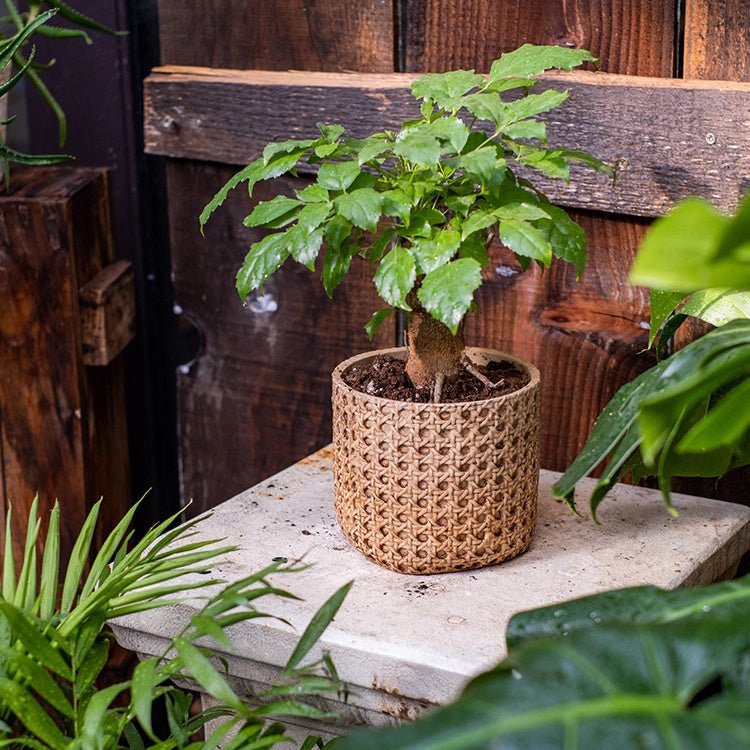 Rattan-Texture Cement Planter