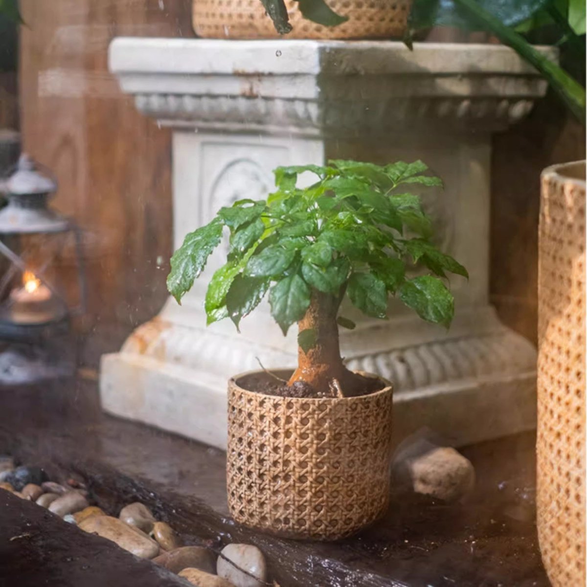 Rattan-Texture Cement Planter