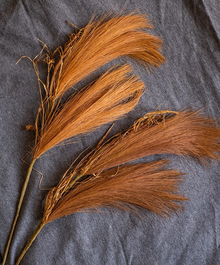 Artificial Reed Grass Stem In Various Colors 30" Tall