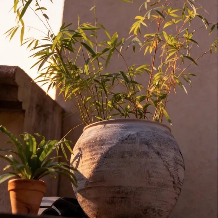 Sierra Round Magnesium Clay Planter