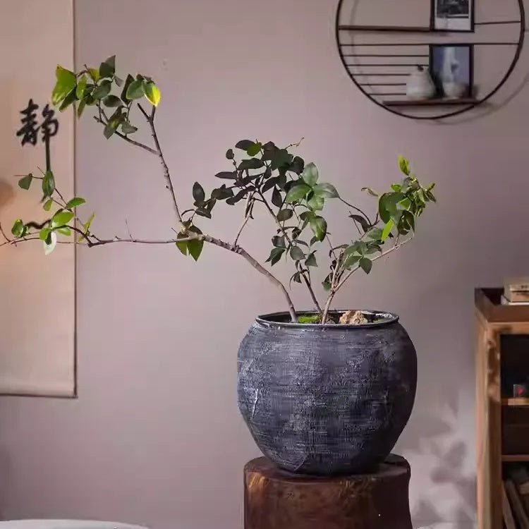 Sierra Round Magnesium Clay Planter