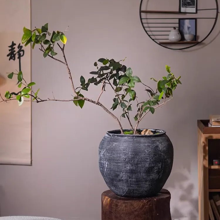 Sierra Round Magnesium Clay Planter