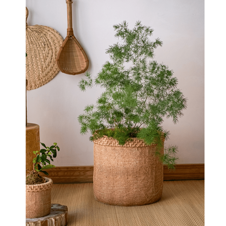 Straw-Look Concrete Planter