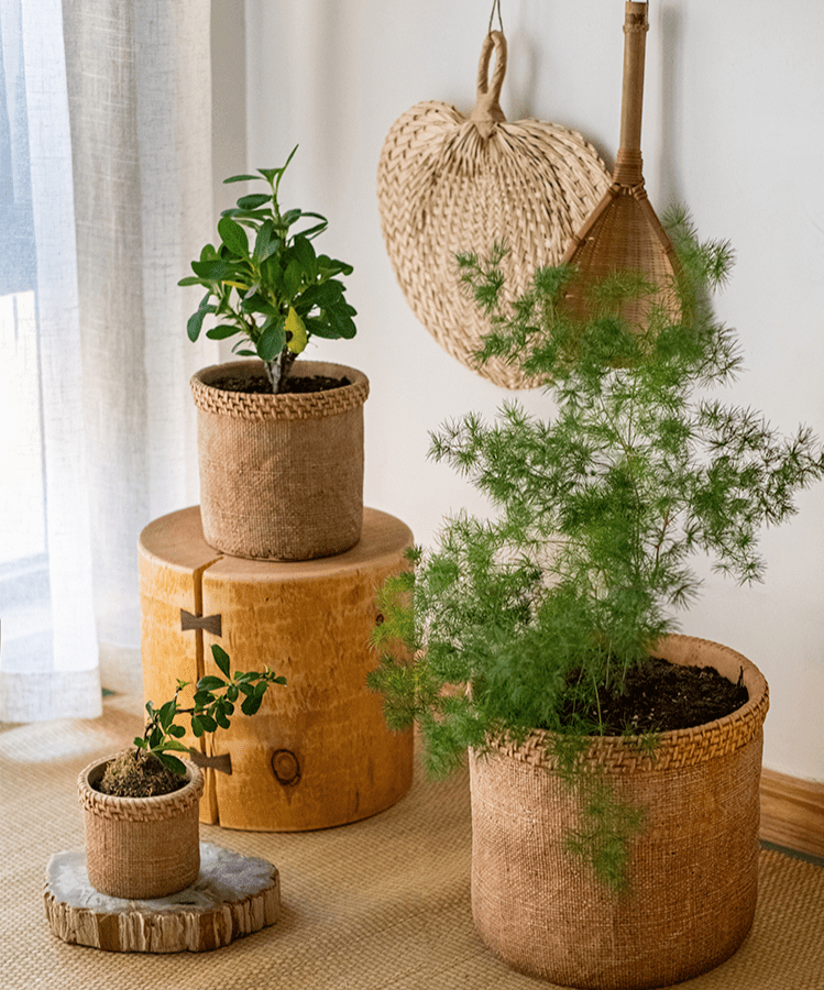 Straw-Look Concrete Planter
