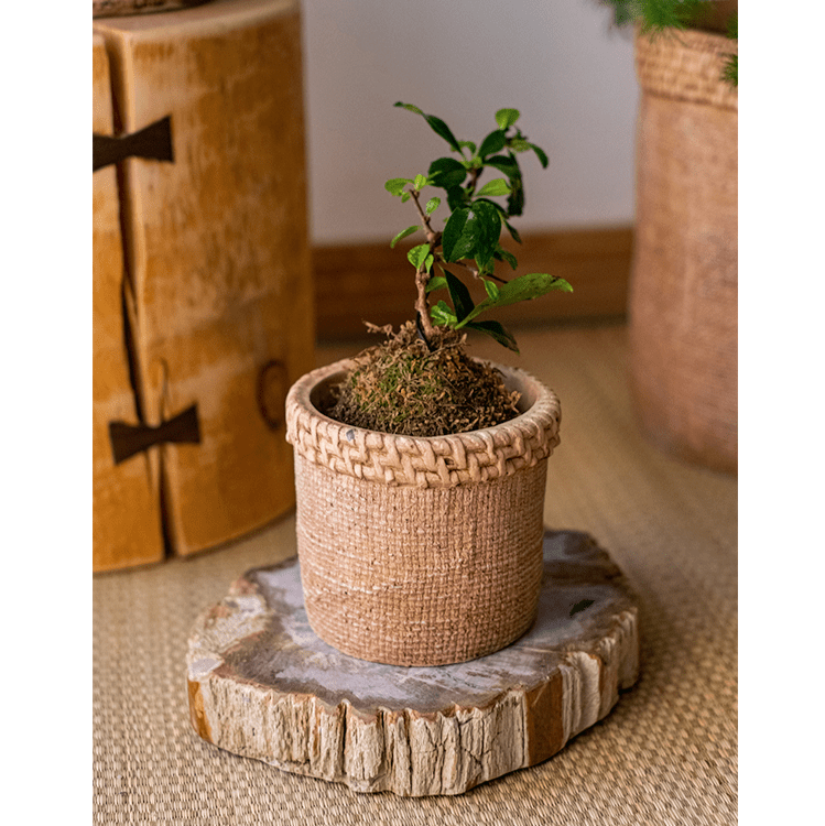 Straw-Look Concrete Planter