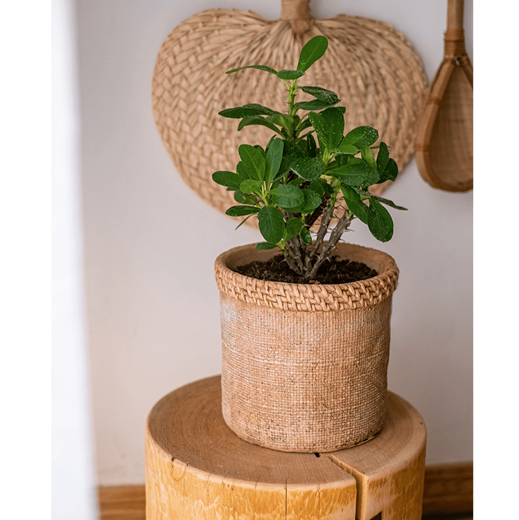 Straw-Look Concrete Planter