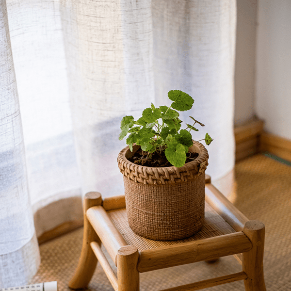 Straw-Look Concrete Planter