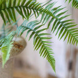 Dark Green Small