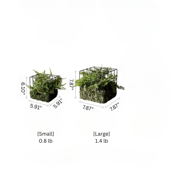 Woodland Cube Garden Accent with Artificial Fern