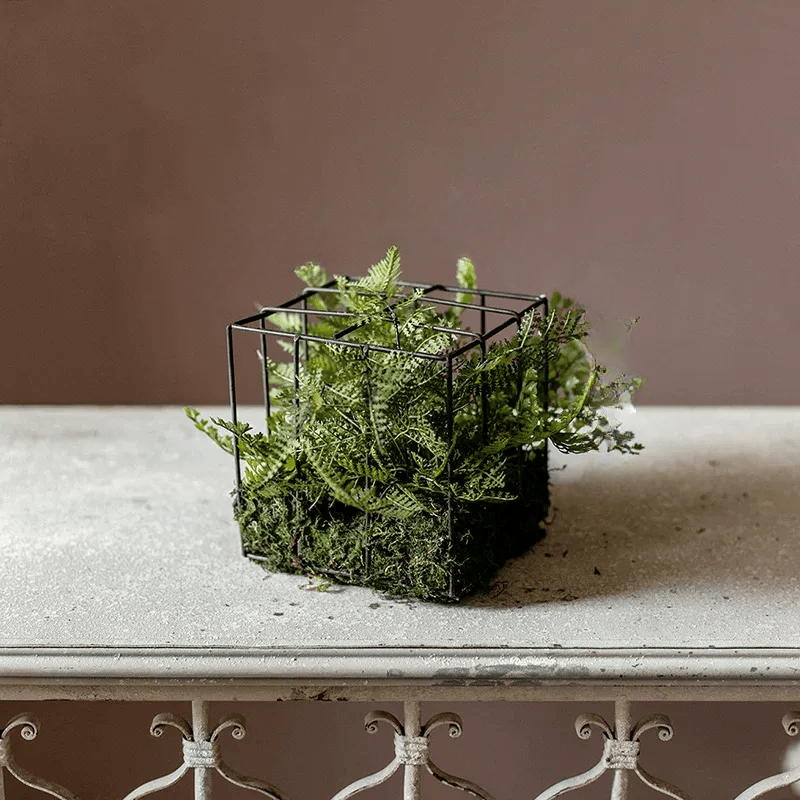Woodland Cube Garden Accent with Artificial Fern