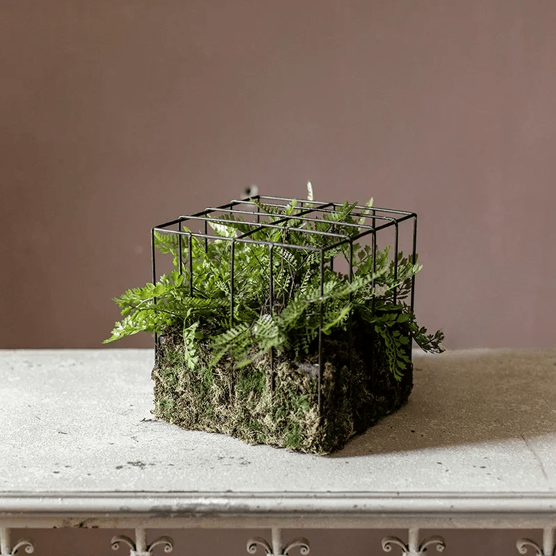 Woodland Cube Garden Accent with Artificial Fern