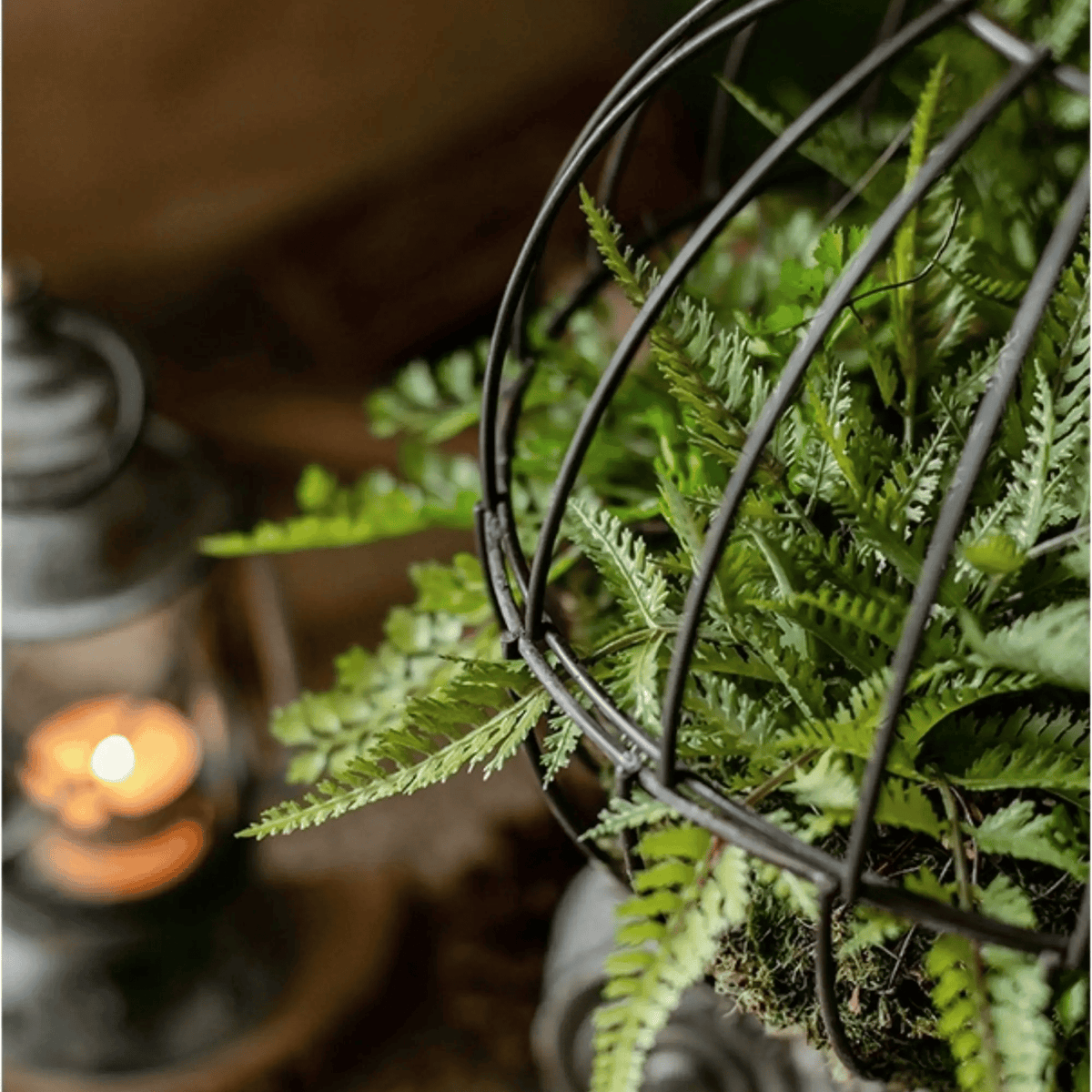 Woodland Globe Garden Accent with Artificial Fern