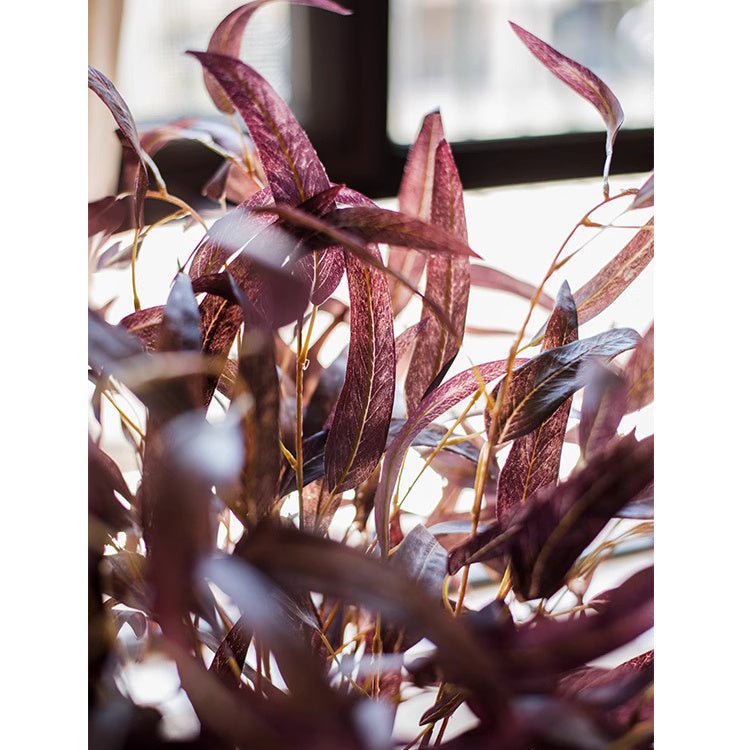 Artificial Whispers of Autumn Eucalyptus Stem 33" Tall