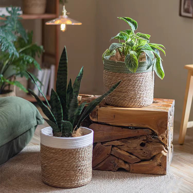 Woven Straw Basket with Colored Rim