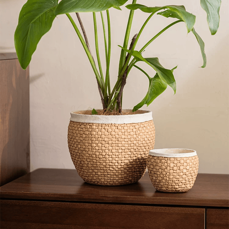 Woven Rattan-Look Cement Planter
