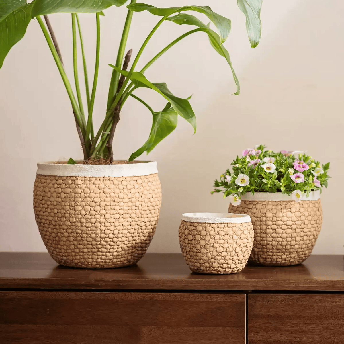 Woven Rattan-Look Cement Planter