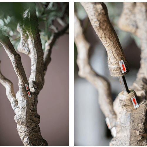 Artificial Extra Large Olive Tree 90" Tall