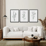 Black Frame - no mat