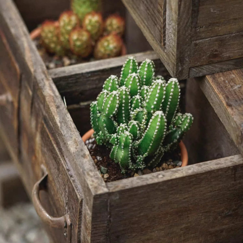 Farmhouse Wooden Planter Box for Succulents or Flowers