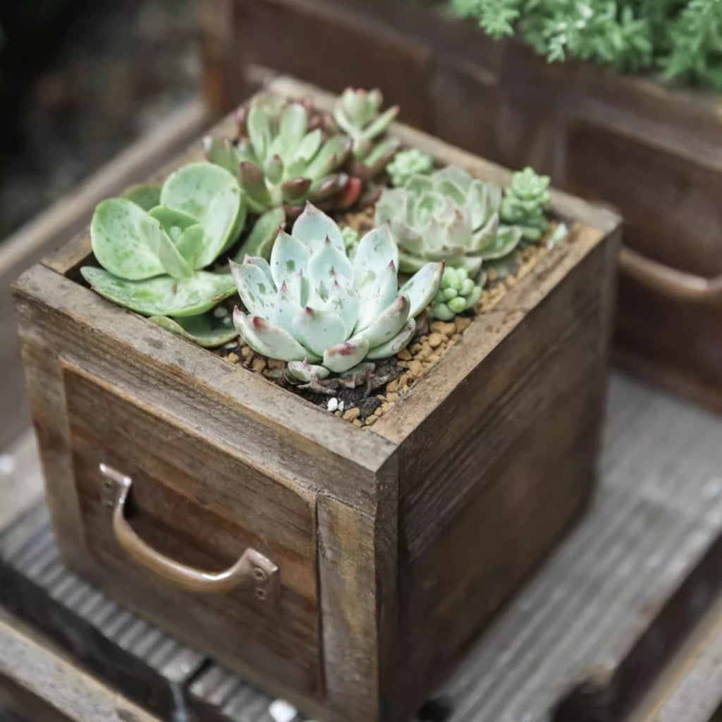 Farmhouse Wooden Planter Box for Succulents or Flowers
