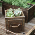 Farmhouse Wooden Planter Box for Succulents or Flowers