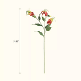 One Stem