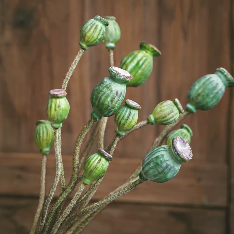 Artificial Green Poppy Fruit Stem 30.7" Tall 3-Stem Bundle