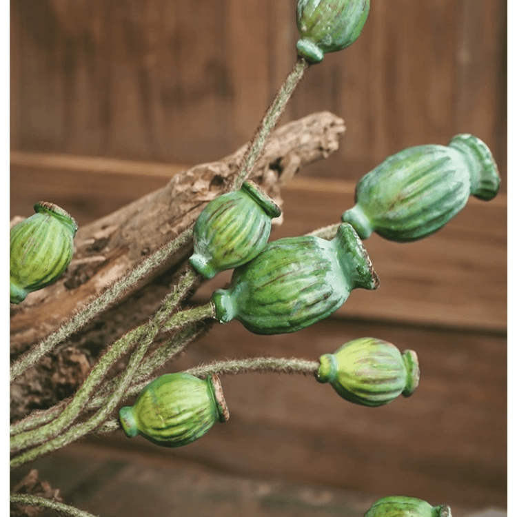 Artificial Green Poppy Fruit Stem 30.7" Tall 3-Stem Bundle