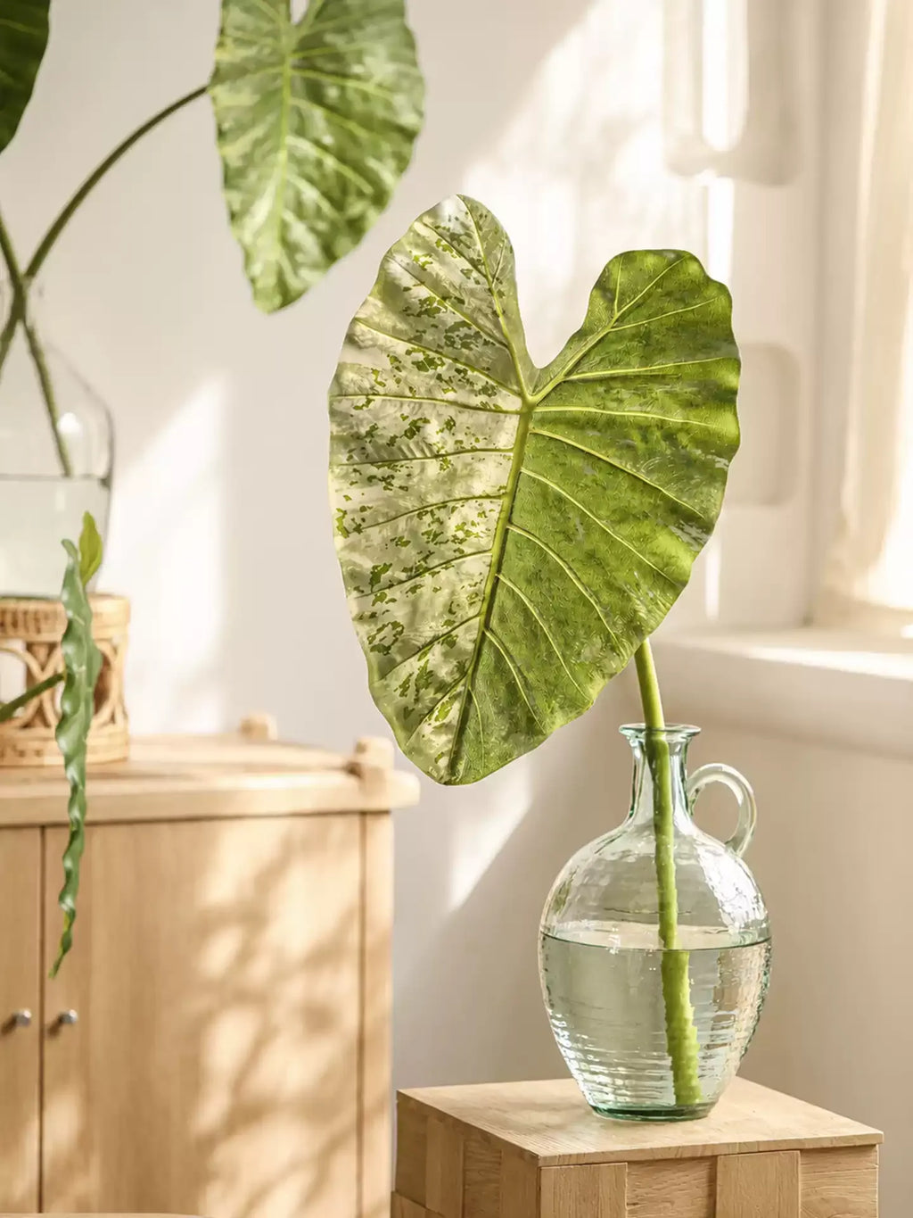 Artificial Statement Elephant Ear Leaf – 34.3"