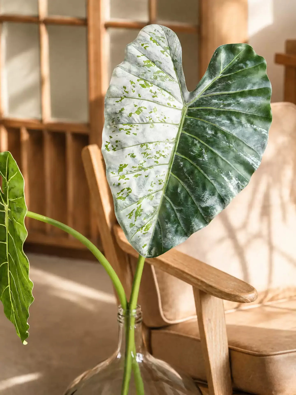 Artificial Statement Elephant Ear Leaf – 34.3"