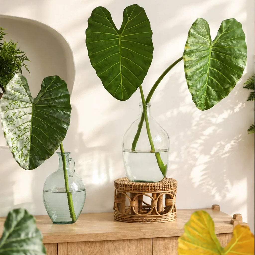 Artificial Statement Elephant Ear Leaf – 34.3"