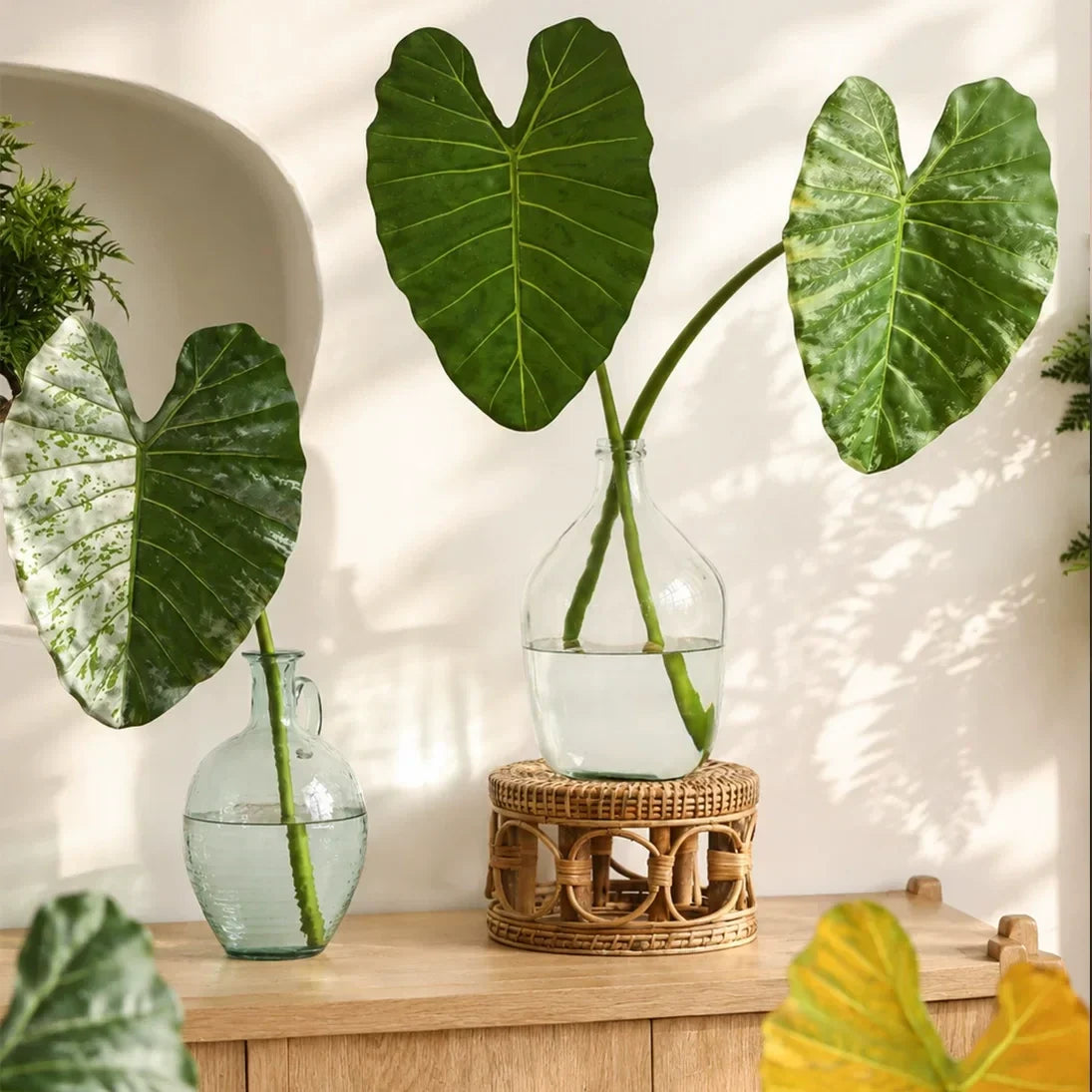 Artificial Statement Elephant Ear Leaf – 34.3"