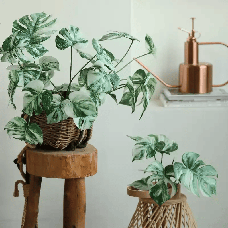 Artificial Variegated Monstera Root Pick – 17.3"