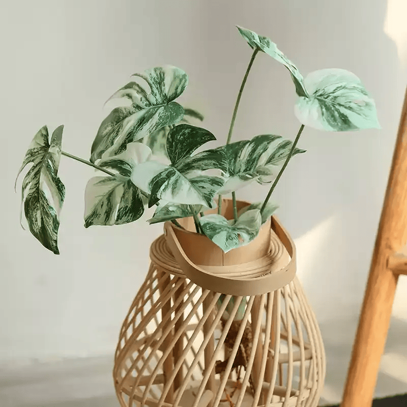 Artificial Variegated Monstera Root Pick – 17.3"