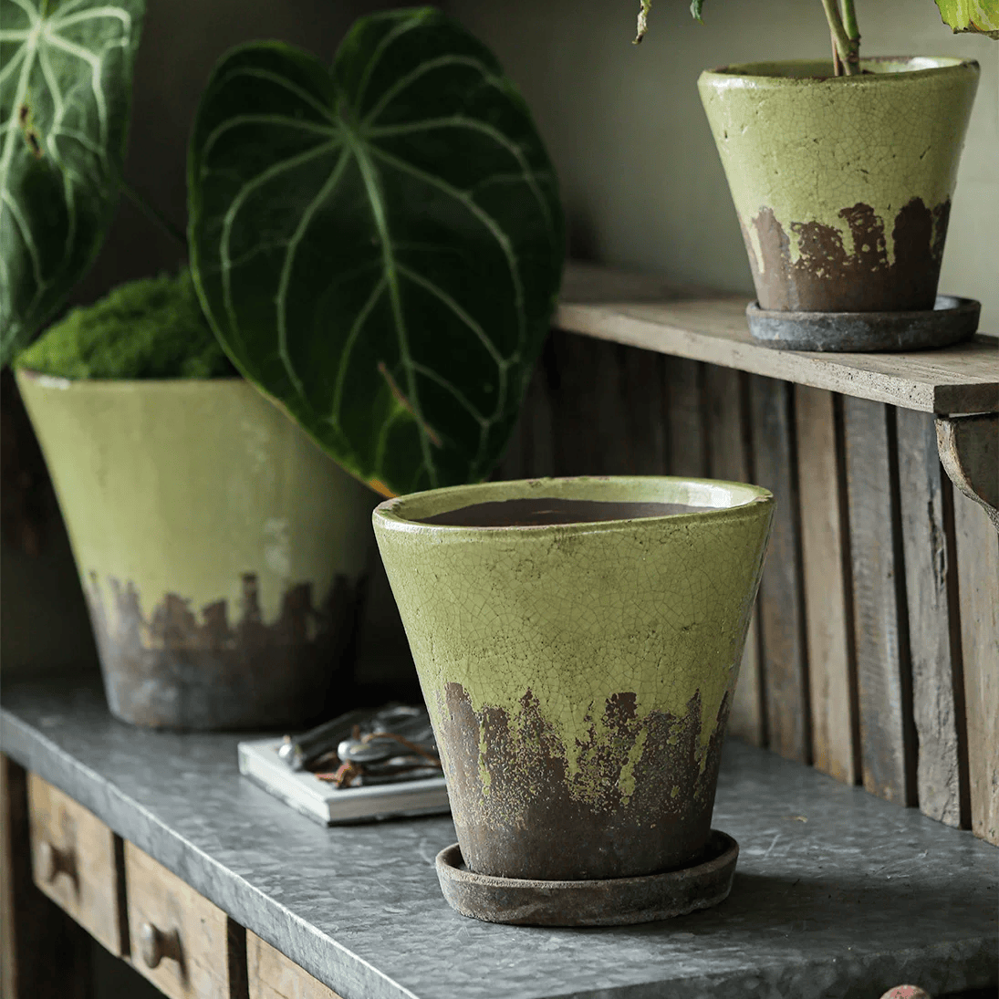 Weathered Heritage Ceramic Flower Pot with Saucer