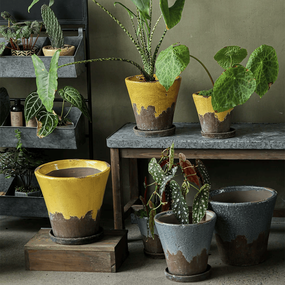 Weathered Heritage Ceramic Flower Pot with Saucer