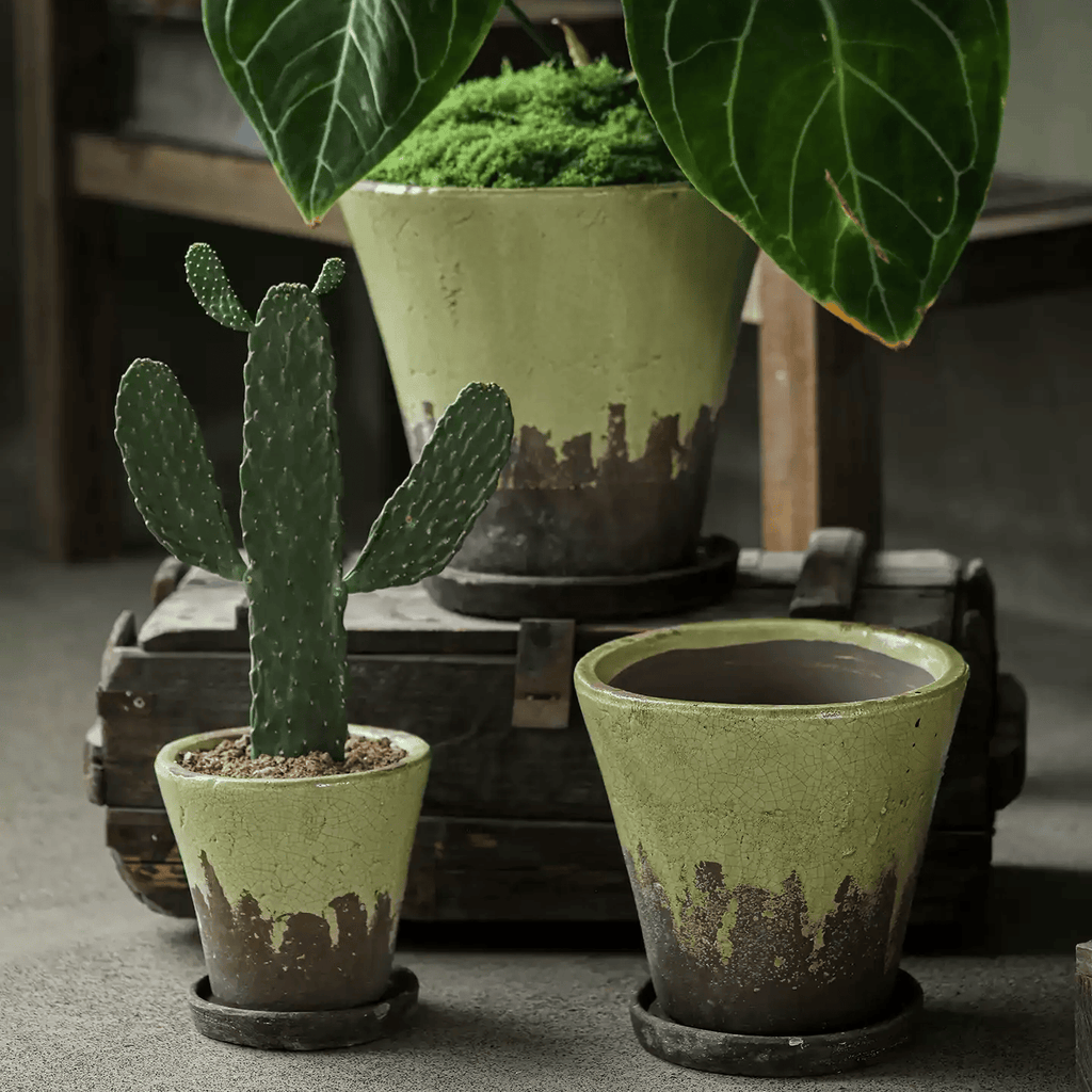 Weathered Heritage Ceramic Flower Pot with Saucer