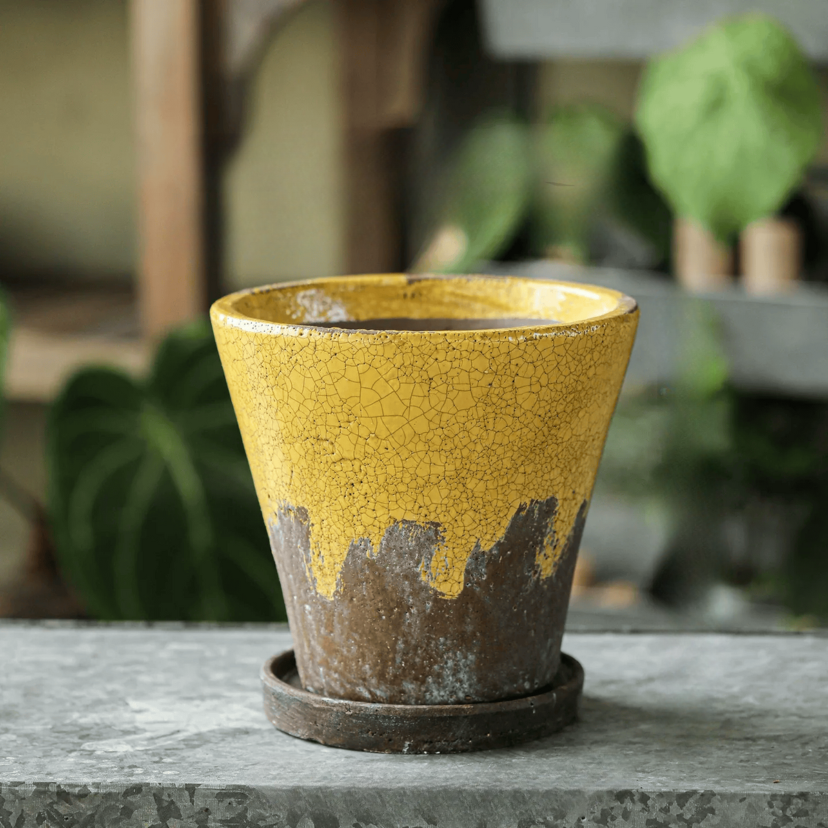 Weathered Heritage Ceramic Flower Pot with Saucer