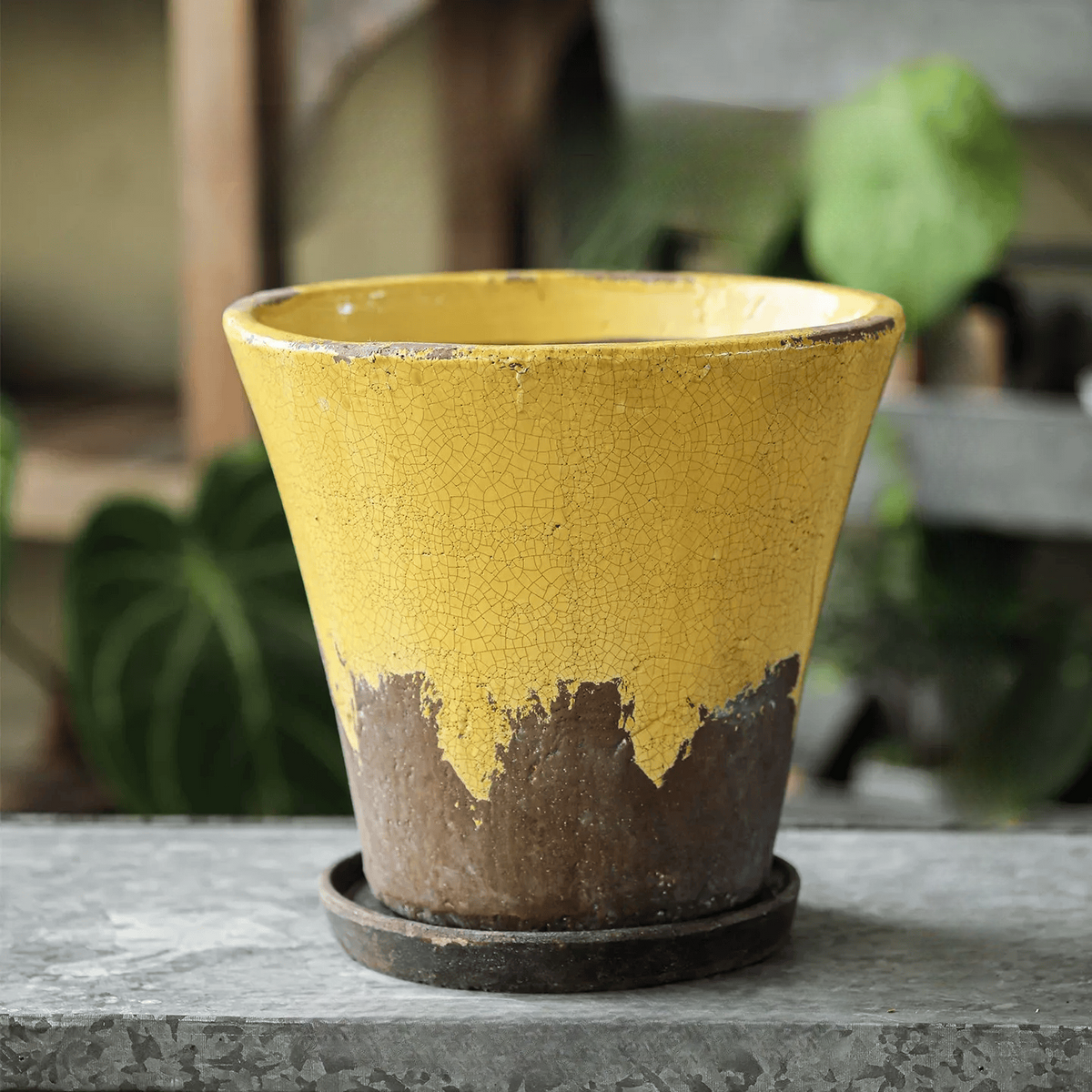 Weathered Heritage Ceramic Flower Pot with Saucer